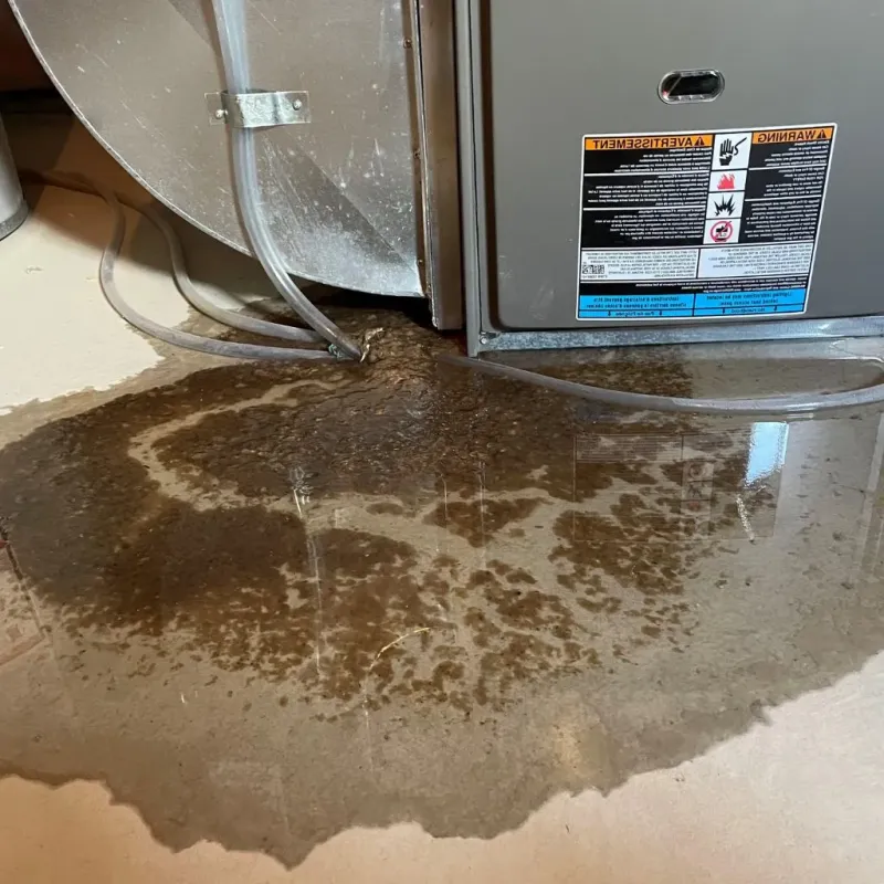 Pipe Burst and Leak Restoration in Flatbush, NY